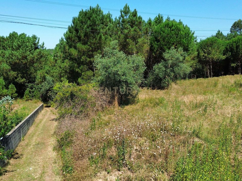 Helårsgrund i Pombal, Leiria - foto 2