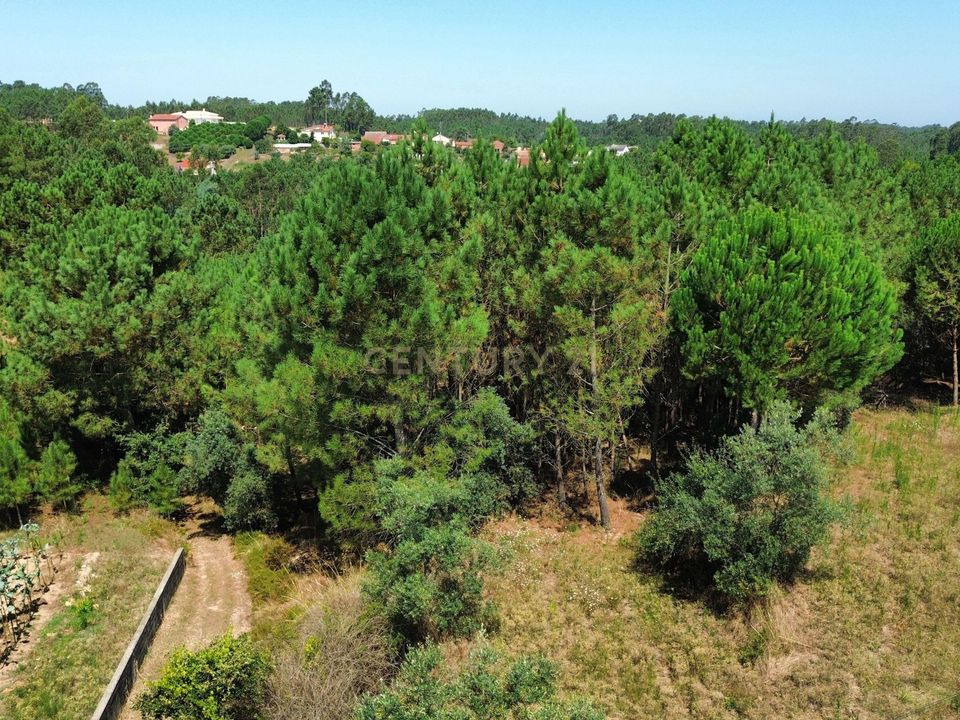 Helårsgrund i Pombal, Leiria - foto 3