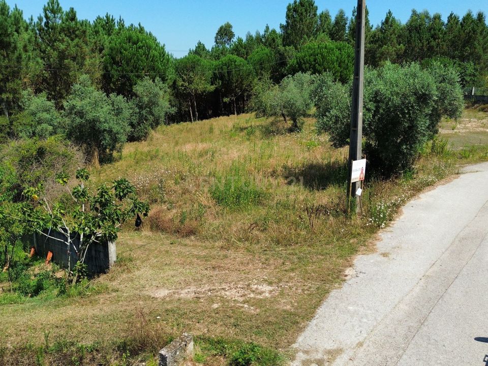 Helårsgrund i Pombal, Leiria - foto 4