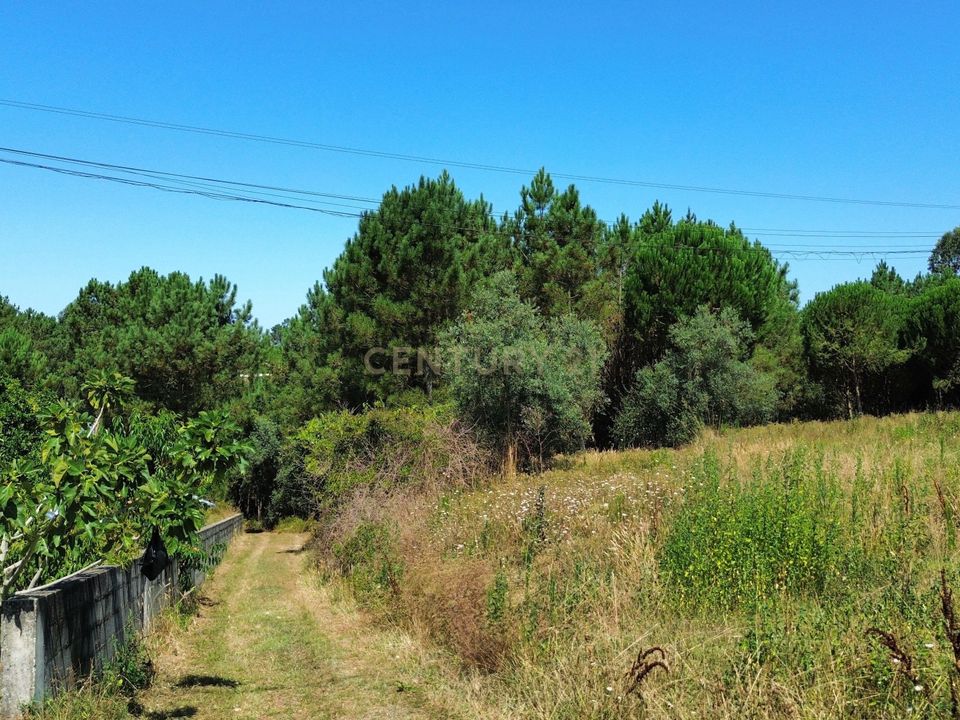 Helårsgrund i Pombal, Leiria - foto 5