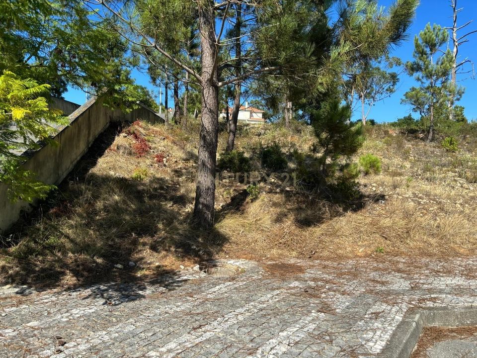 Helårsgrund i Pombal, Leiria - foto 2