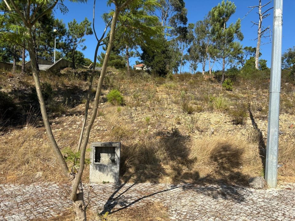 Helårsgrund i Pombal, Leiria - foto 3
