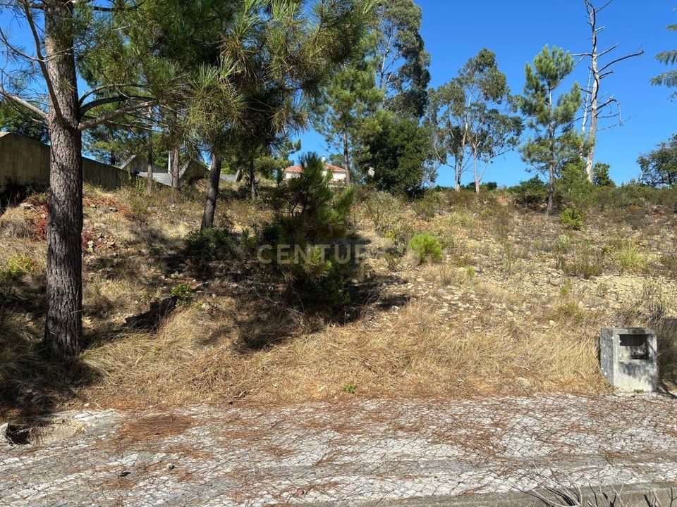 Helårsgrund i Pombal, Leiria - foto 5