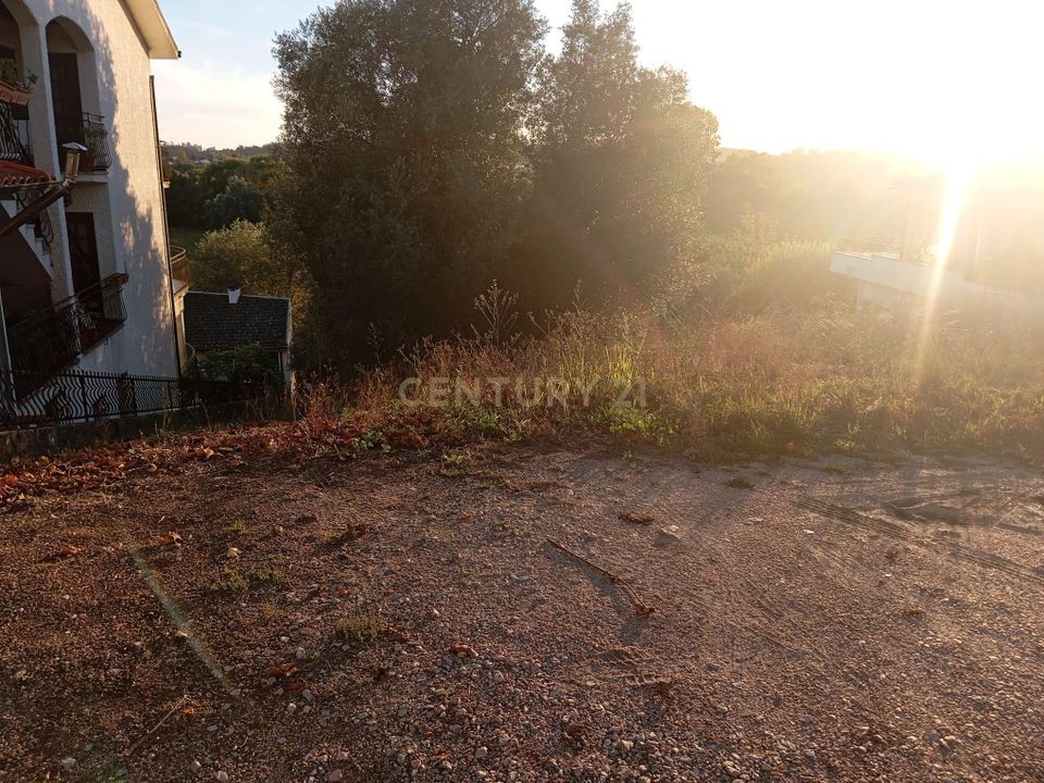 Helårsgrund i Soure, Coimbra - foto 2