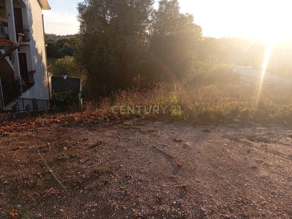 Helårsgrund i Soure, Coimbra - foto 3