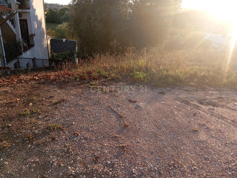 Helårsgrund i Soure, Coimbra - foto 4