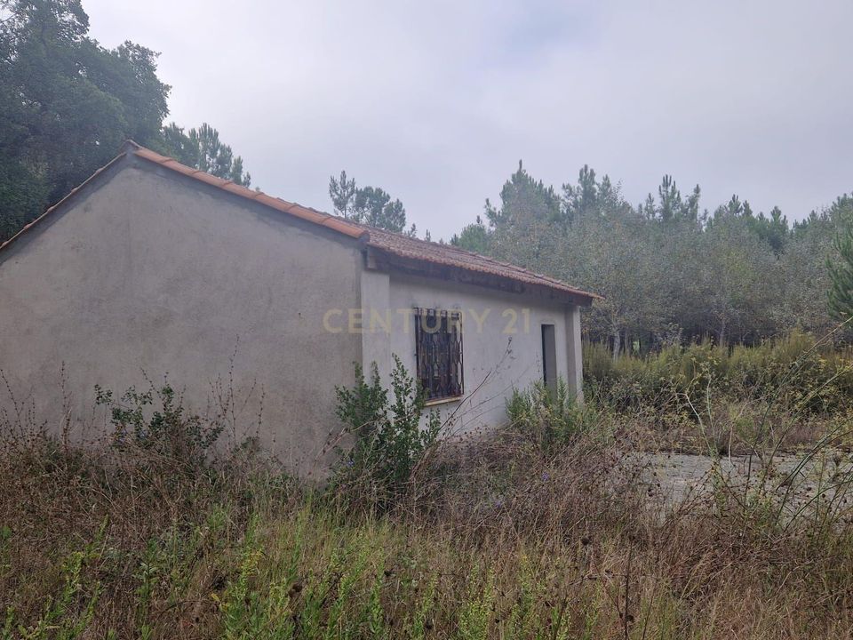 Terra a Condeixa-a-Nova, Coimbra - foto 1
