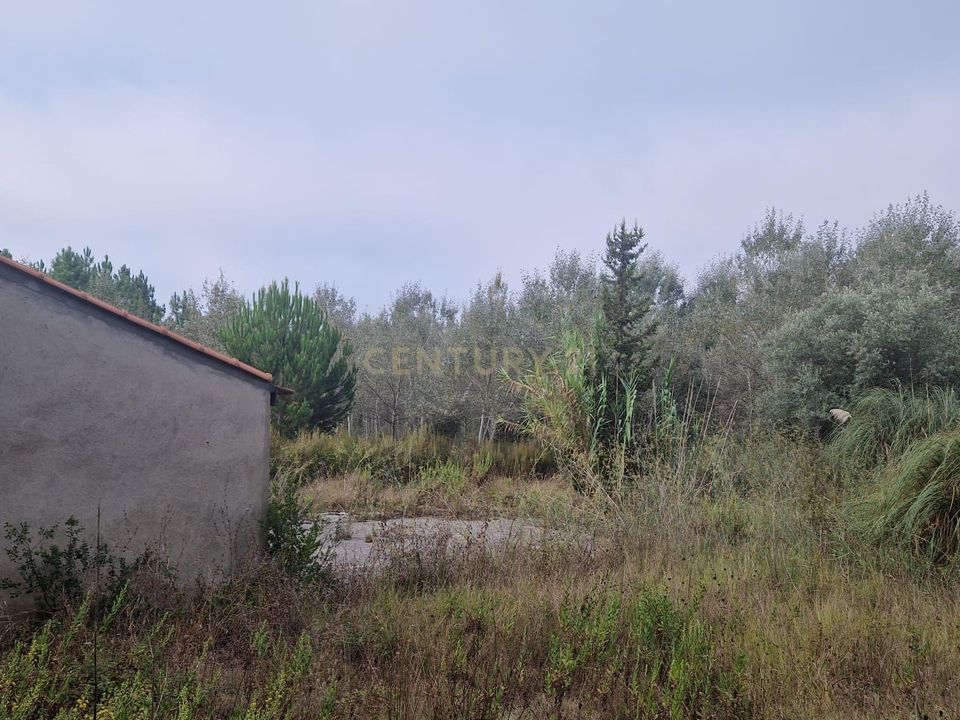 Terra a Condeixa-a-Nova, Coimbra - foto 2