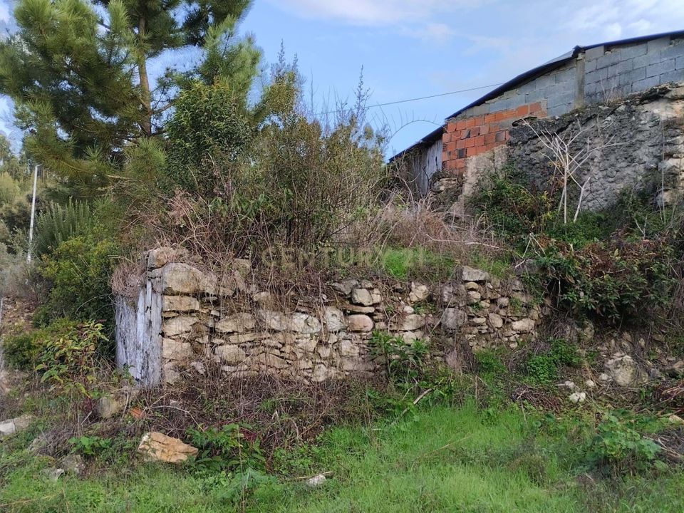 Helårsgrund i Pombal, Leiria - foto 3