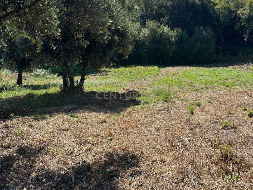 Helårsgrund i Pombal, Leiria - foto 1