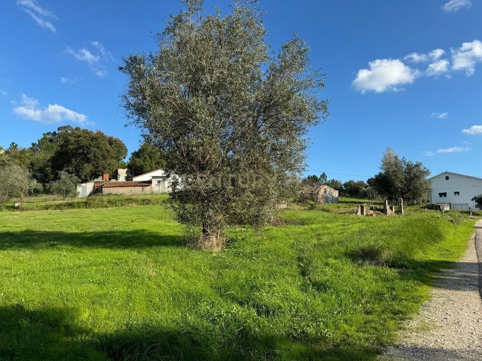 Villa i Pombal, Leiria - foto 3