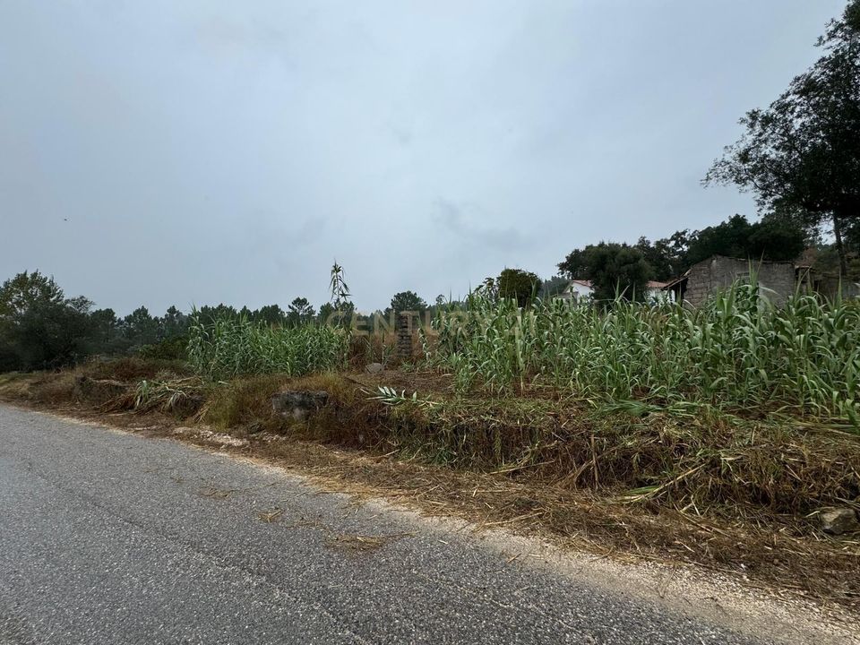 Villa i Pombal, Leiria - foto 4