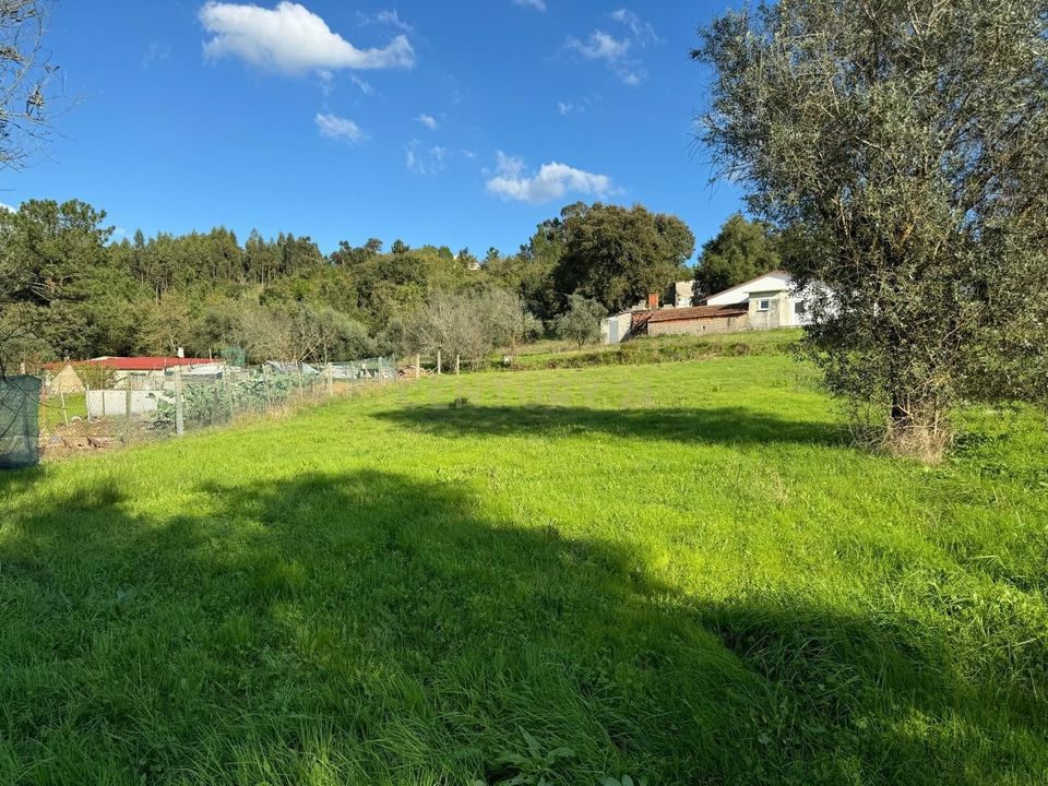 Villa i Pombal, Leiria - foto 5