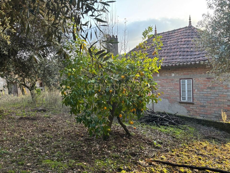 Villa i Pombal, Leiria - foto 2
