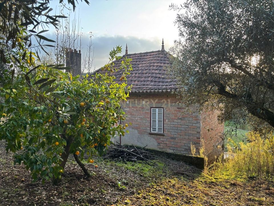 Villa i Pombal, Leiria - foto 1