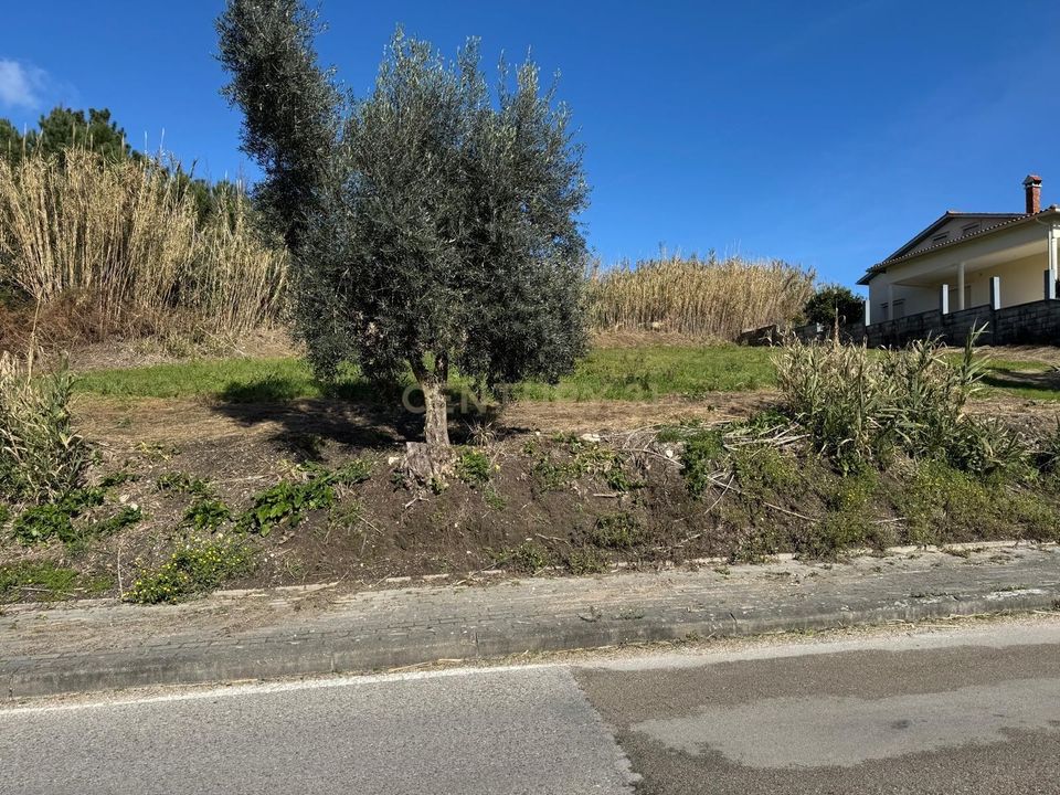 Helårsgrund i Pombal, Leiria - foto 1