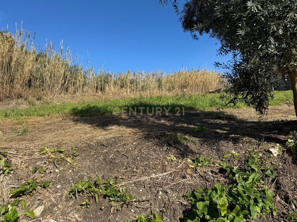 Helårsgrund i Pombal, Leiria - foto 2