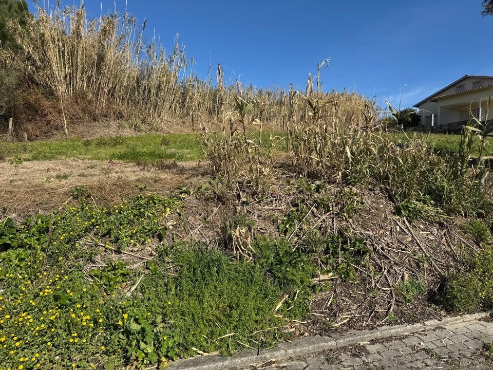 Helårsgrund i Pombal, Leiria - foto 3