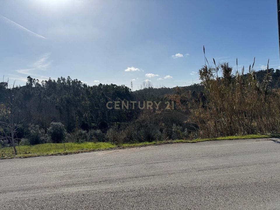 Helårsgrund i Pombal, Leiria - foto 4