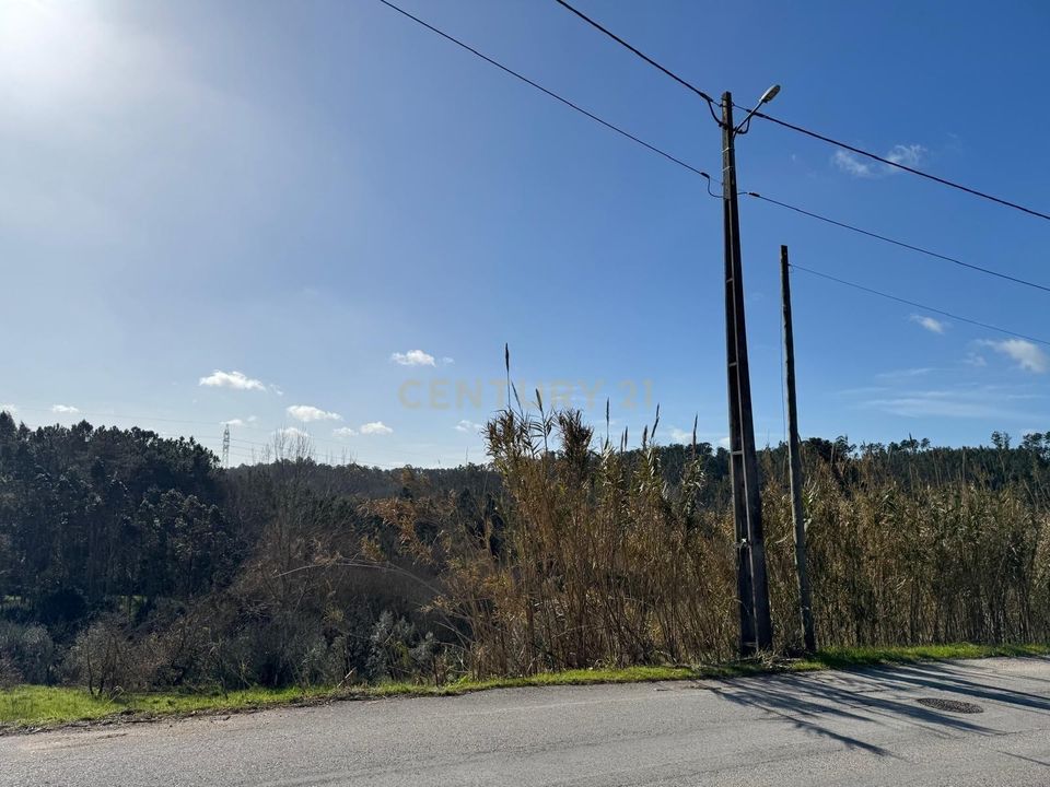 Helårsgrund i Pombal, Leiria - foto 5
