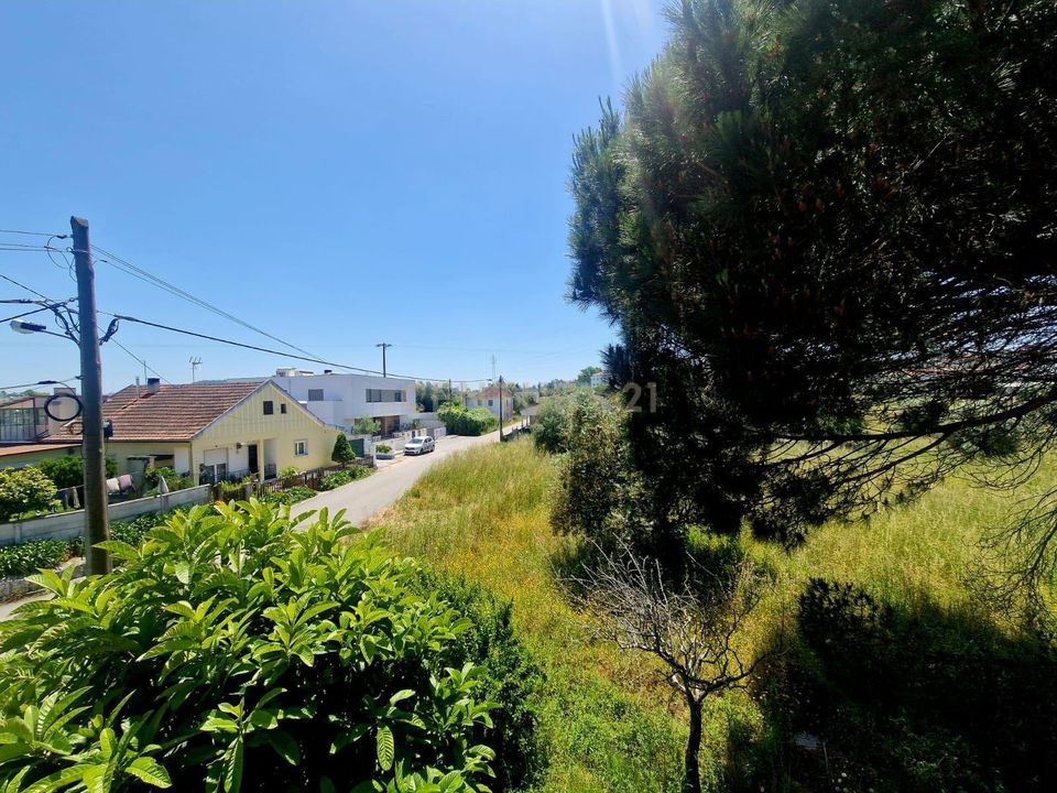 Helårsgrund i Pombal, Leiria - foto 3