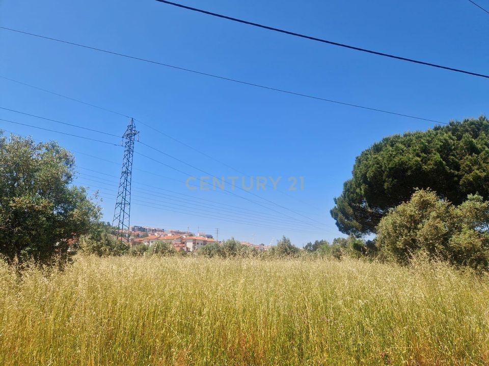 Helårsgrund i Pombal, Leiria - foto 3