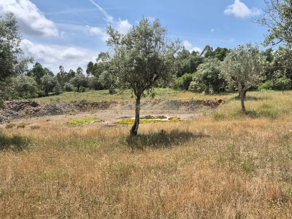 Terreno en Soure, Coimbra - foto 1