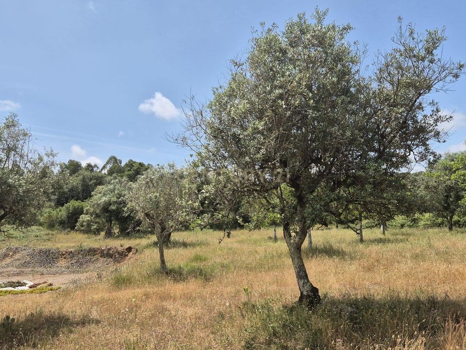 Terreno en Soure, Coimbra - foto 2