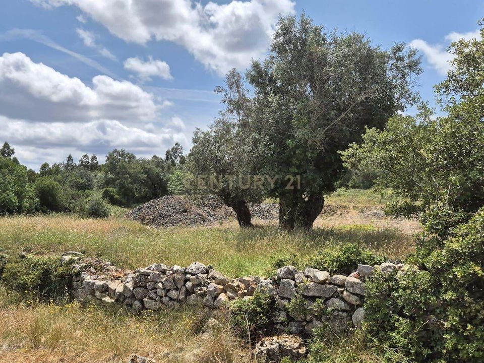 Terreno en Soure, Coimbra - foto 5
