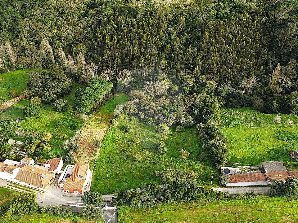 Lejlighed i Bombarral, Leiria - foto 3