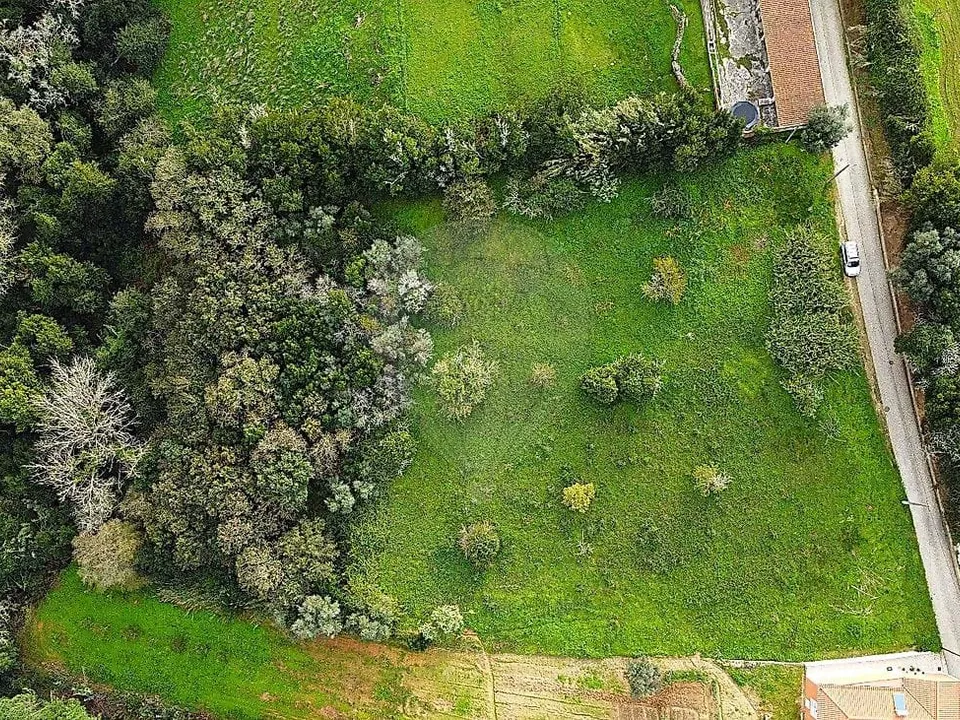 Lejlighed i Bombarral, Leiria - foto 4