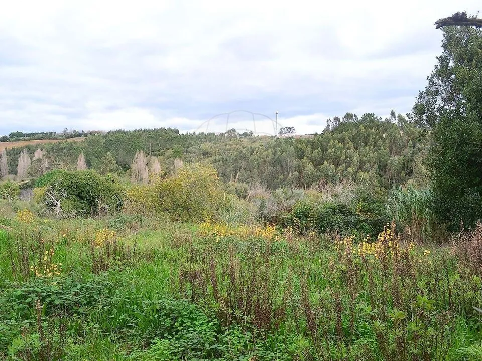 Lejlighed i Bombarral, Leiria - foto 5