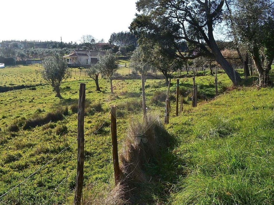 Helårsgrund i Ferreira do Zezere, Santarem - foto 2