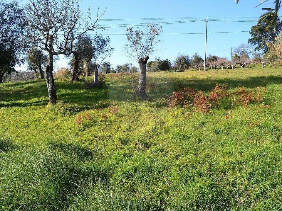 Helårsgrund i Ferreira do Zezere, Santarem - foto 4