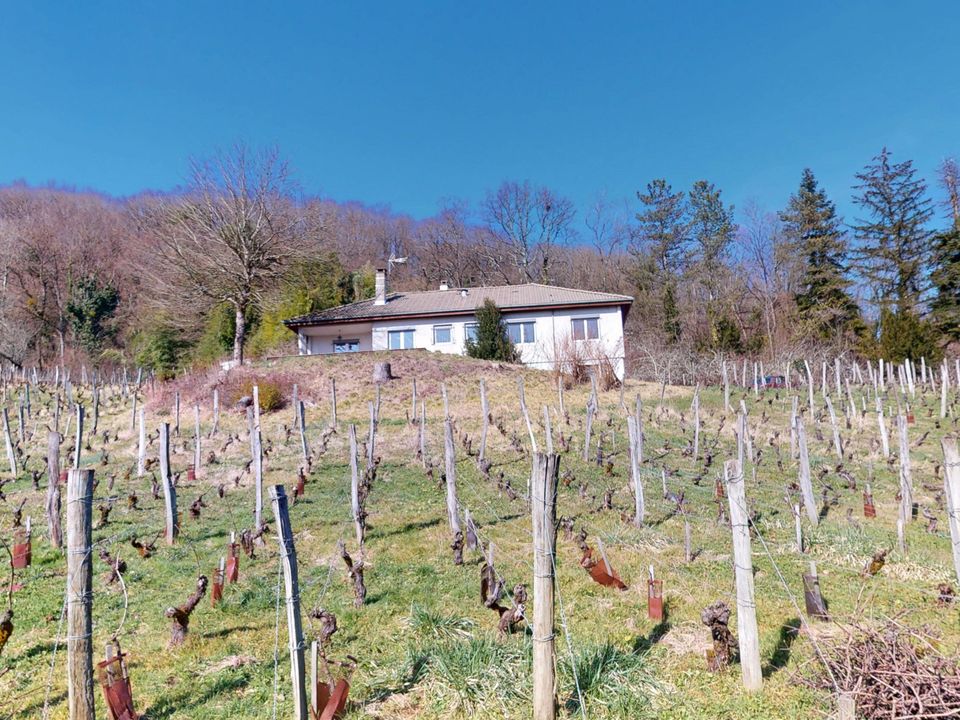 Villa i Avanne-Aveney, Doubs - foto 4