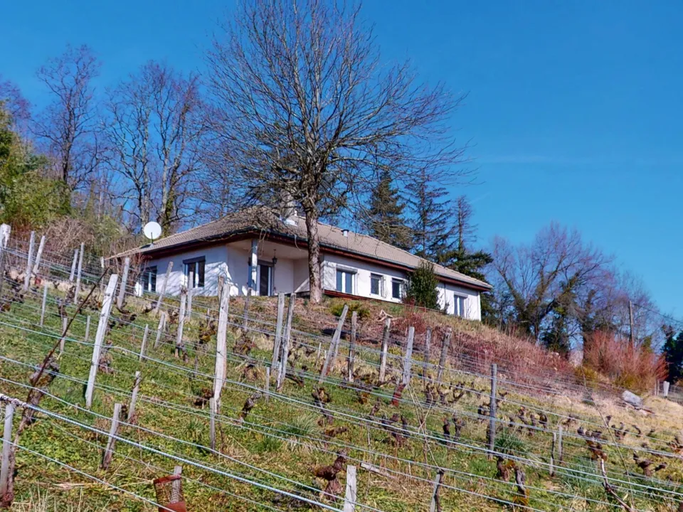 Villa i Avanne-Aveney, Doubs - foto 1