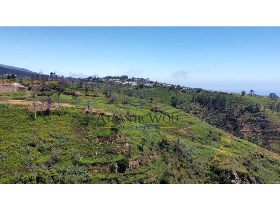 Helårsgrund i Calheta, Madeira - foto 3