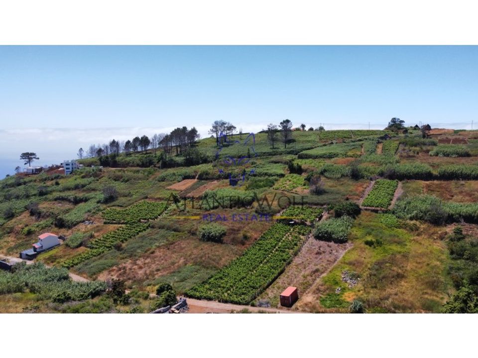 Helårsgrund i Calheta, Madeira - foto 4
