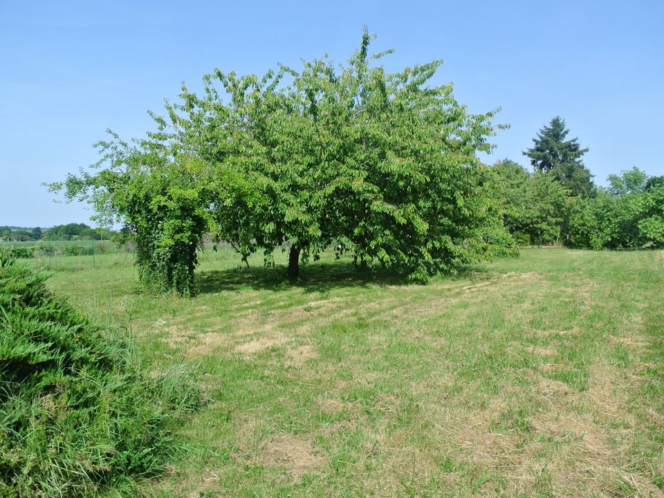 Villa i Beaupuy, Lot-et-Garonne - foto 3