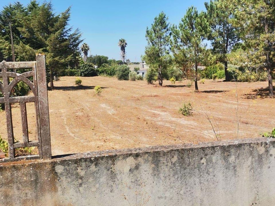 Helårsgrund i Setubal, Setubal - foto 4