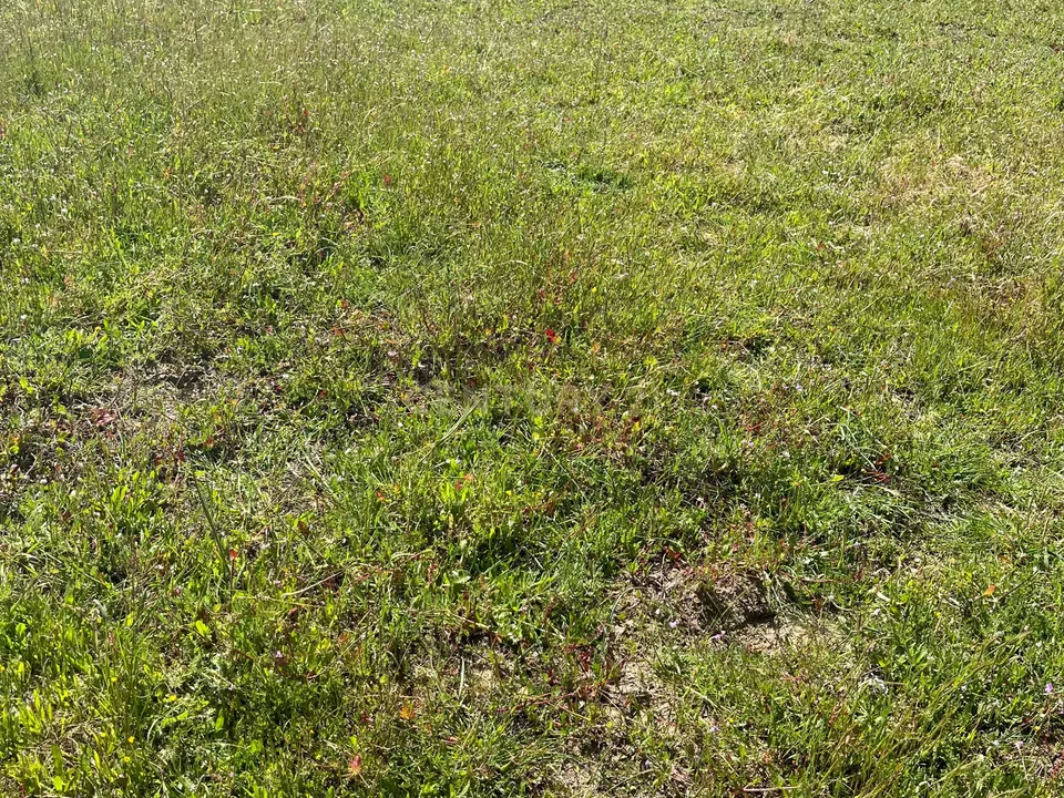Helårsgrund i Palmela, Setubal - foto 4