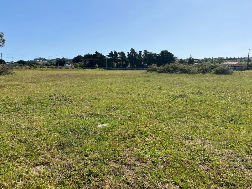 Helårsgrund i Palmela, Setubal - foto 5
