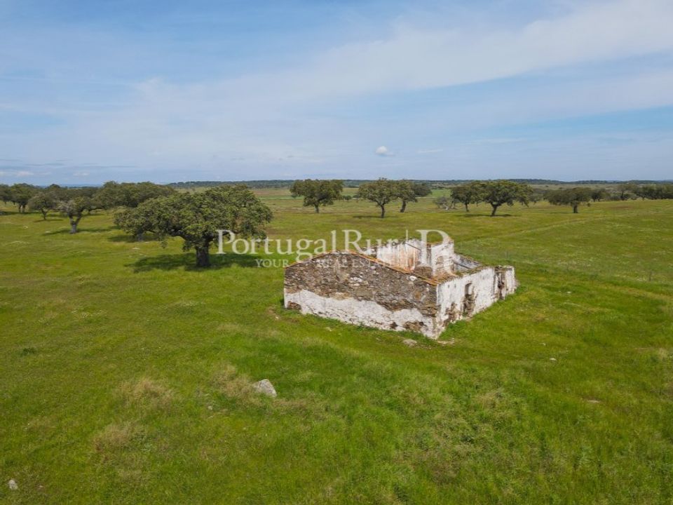 Landejendom i Santiago Maior, Evora - foto 5