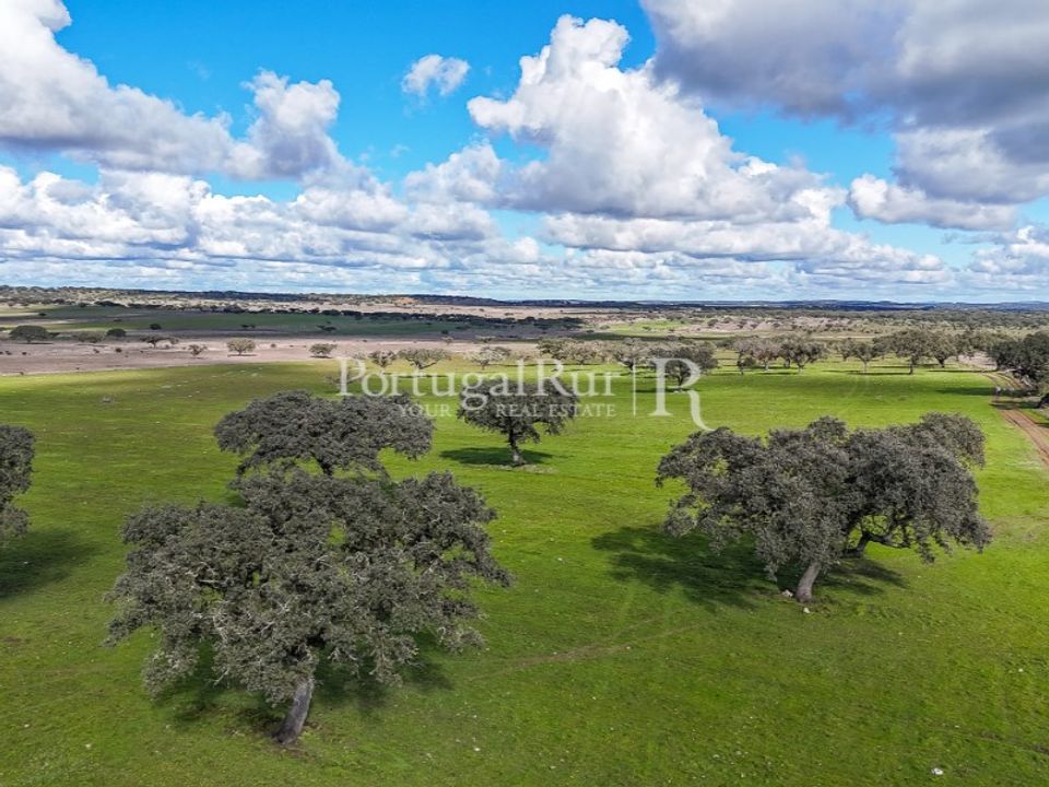 Landejendom i Santiago Maior, Evora - foto 2