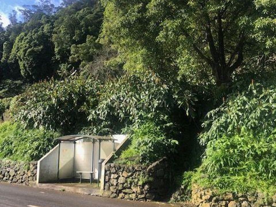 Helårsgrund i Fontinhas, Terceira - foto 2