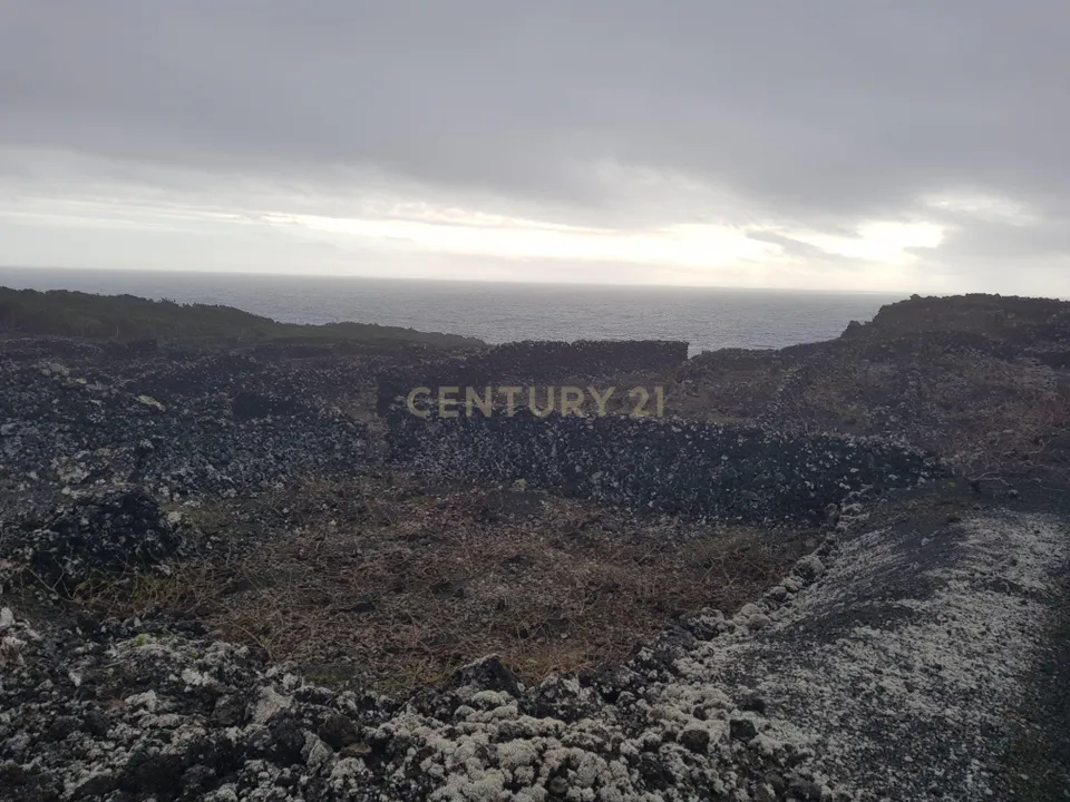 Terra a Candelaria, Pico - foto 1