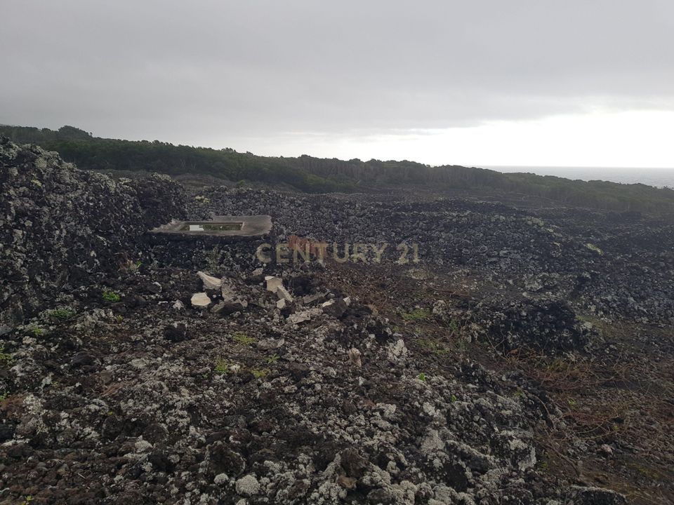 Terra a Candelaria, Pico - foto 2