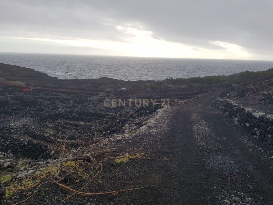 Terra a Candelaria, Pico - foto 5