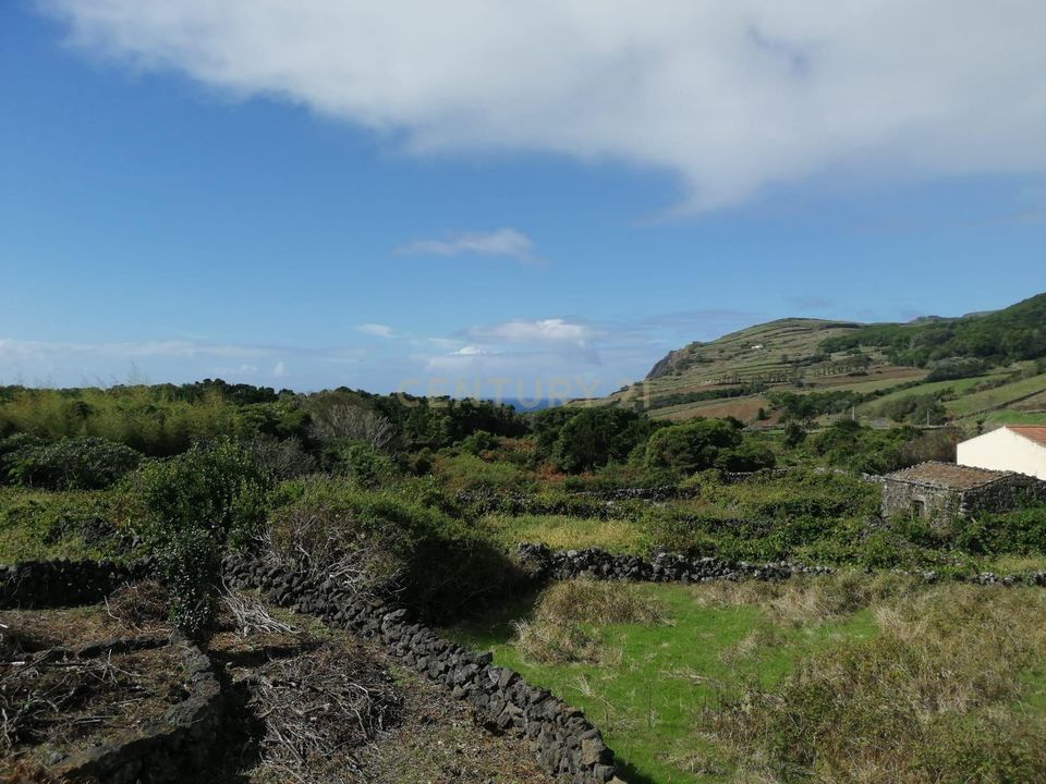 Villa i Luz, Graciosa - bilde 3