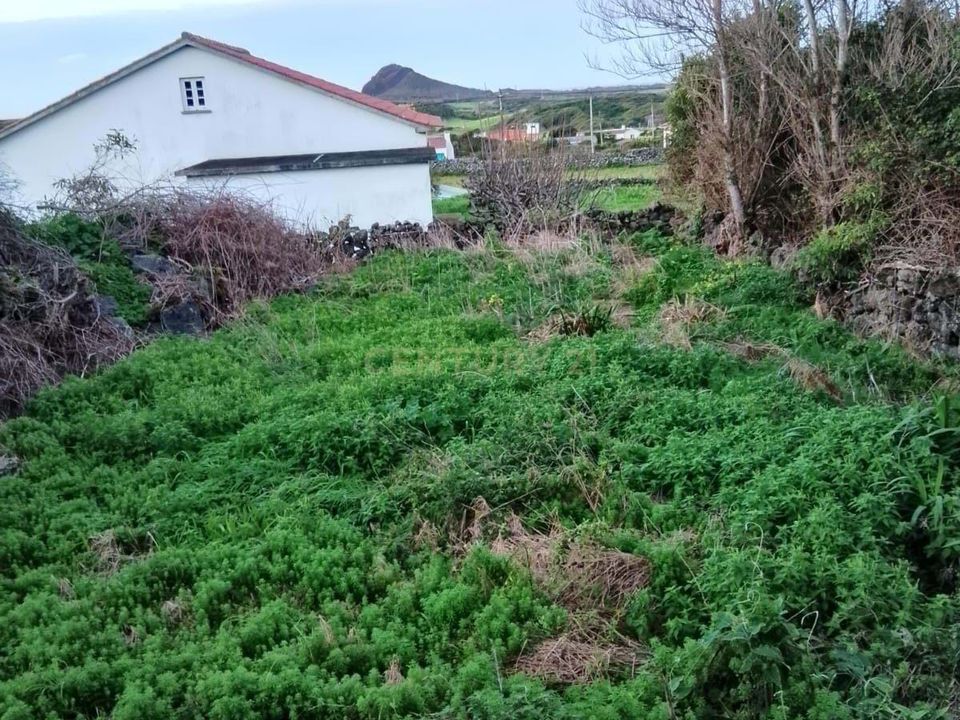 Villa a Santa Cruz da Graciosa, Graciosa - foto 4